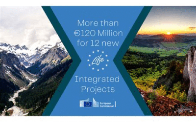 600 millions d’euros pour une Europe plus verte : la Commission ouvre les vannes du programme LIFE 2025