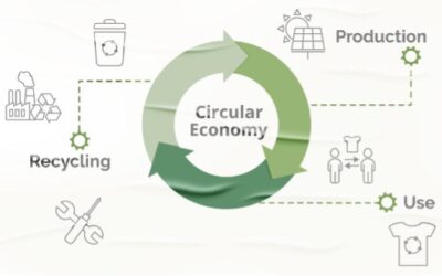 Circular Economy: Take Part in the Commission’s Consultation