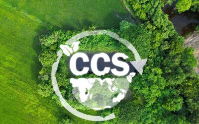 CCS: Belgium Steps Up